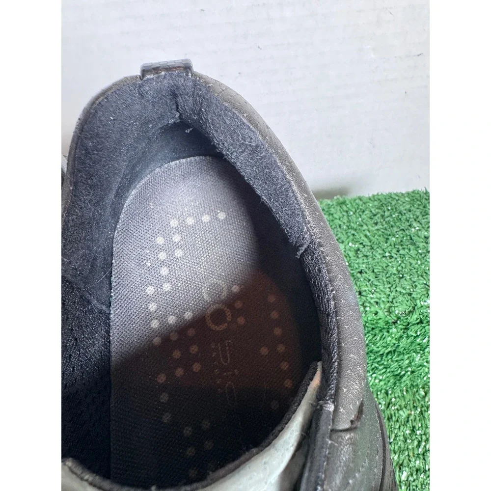 Ecco these could